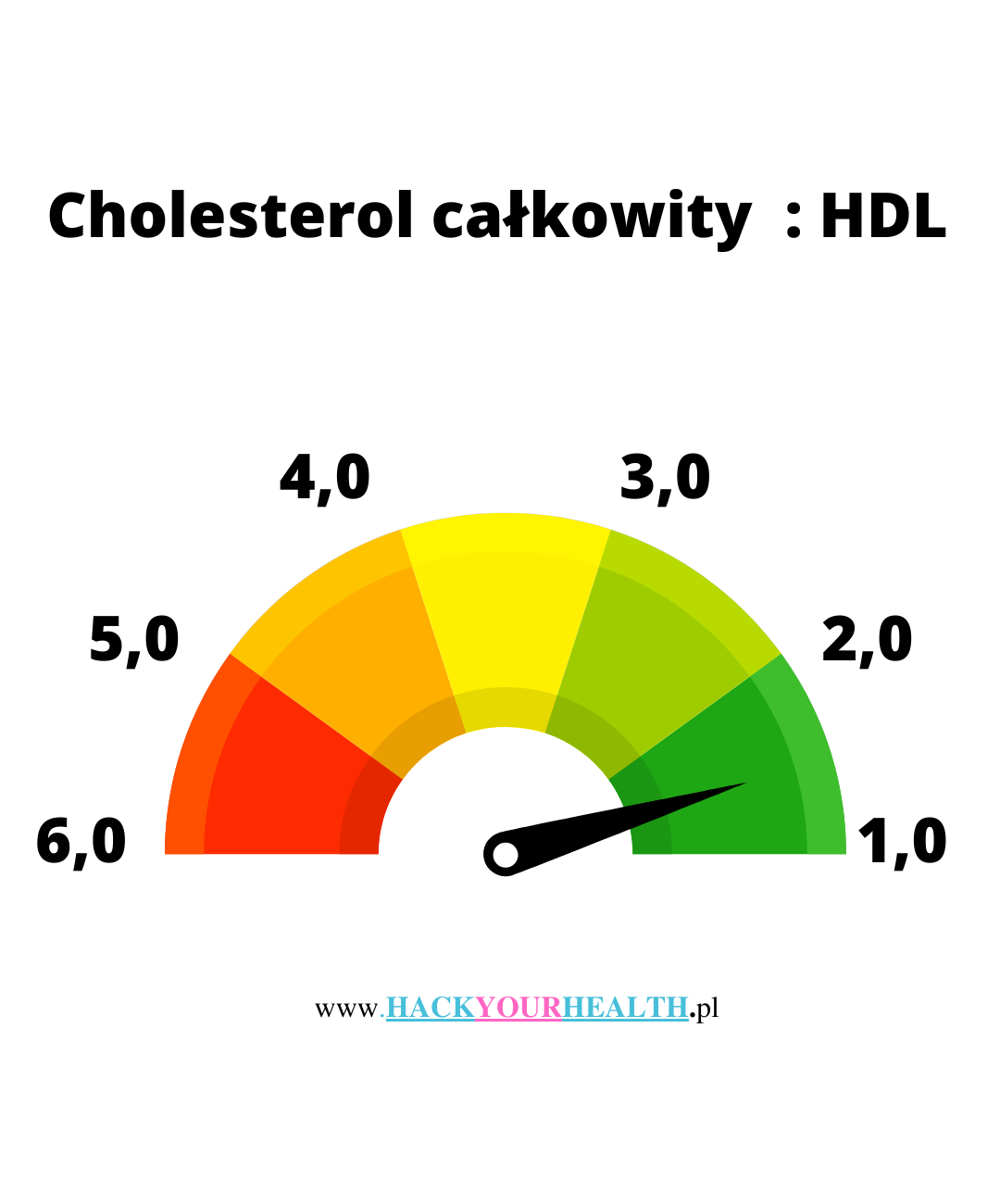 Cholesterol Normy Hack Your Health 7119